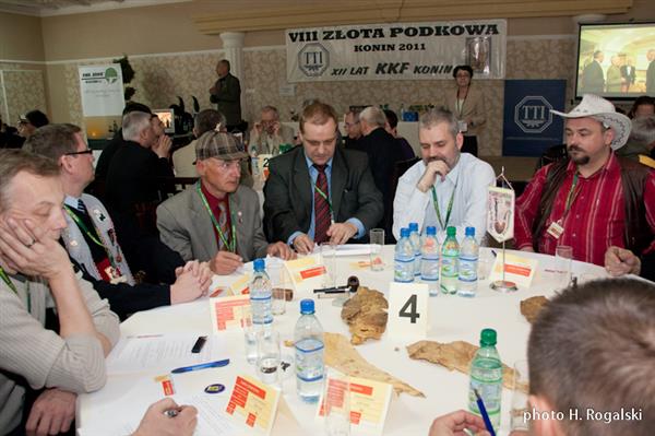 2011_Konin03.jpg