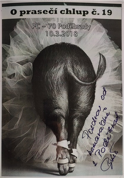2018-03-10_podebrady01.jpg