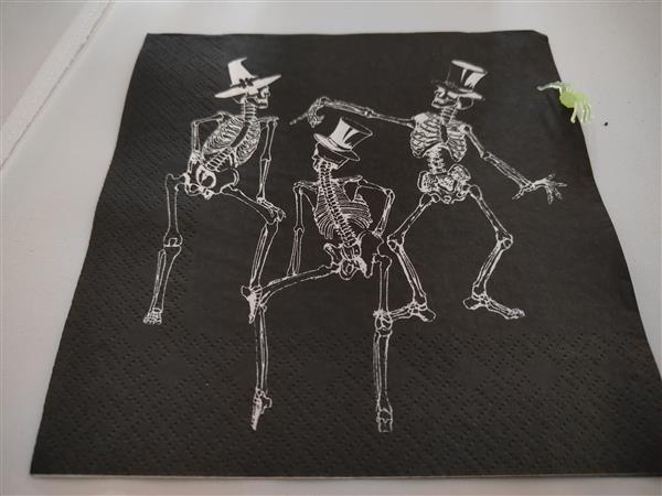 IMG20241116121251.jpg